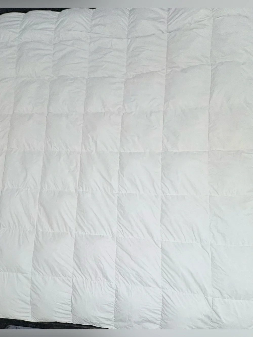 XL Queen 100% Goosedown Feather Comforter All Season Duvet White Organic Cotton